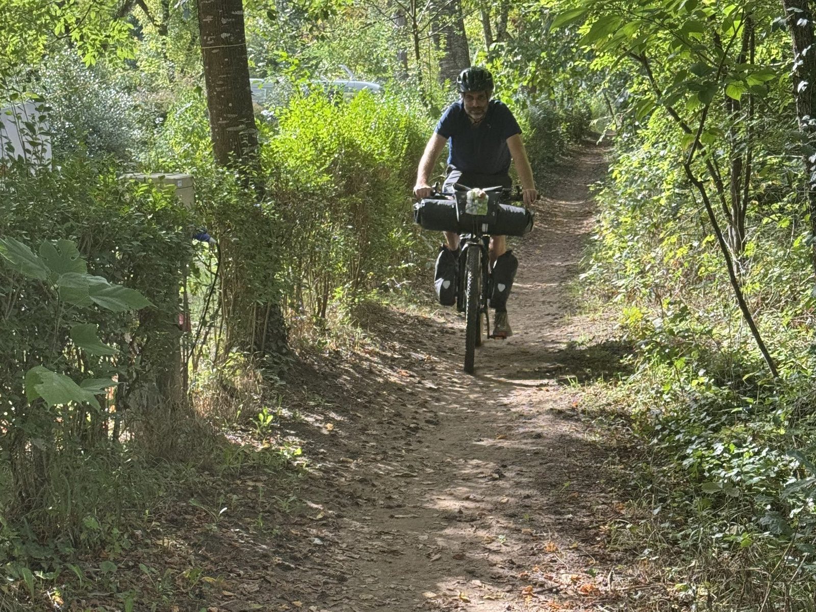 A cyclist with bike bags riding towards the camera along a narrow woodland track