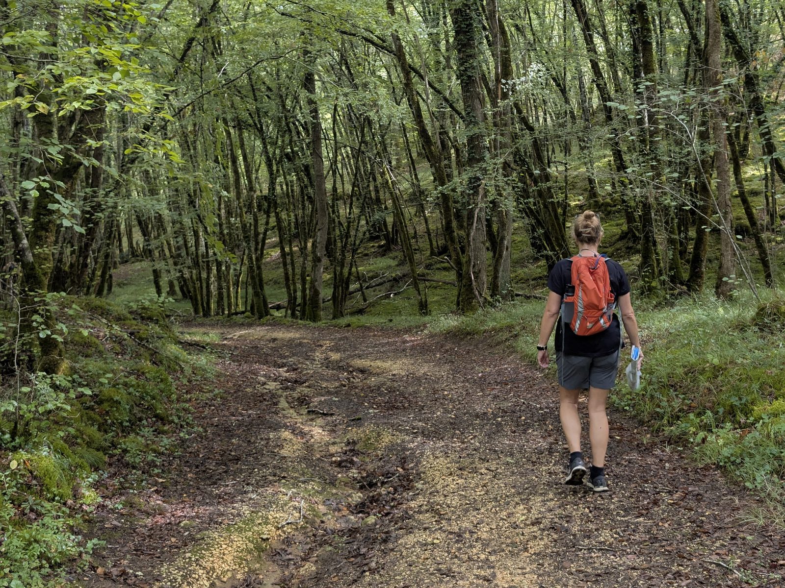 Cassie walking a leafy woodland track near Les Eyzies